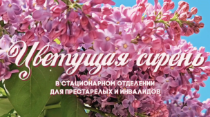 Цветущая сирень 1