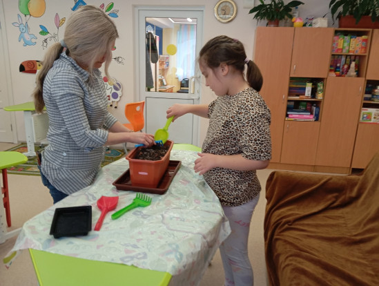 Высадка лука 3